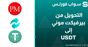 التحويل من بيرفكت موني إلى USDT بطريقة سريعة وسهلة