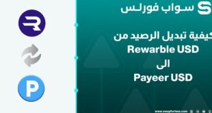 كيفية تبديل الرصيد من Rewarble USD الى Payeer USD