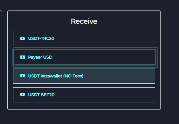 خطوات تبديل رصيد Roblox usa الى Payeer USD