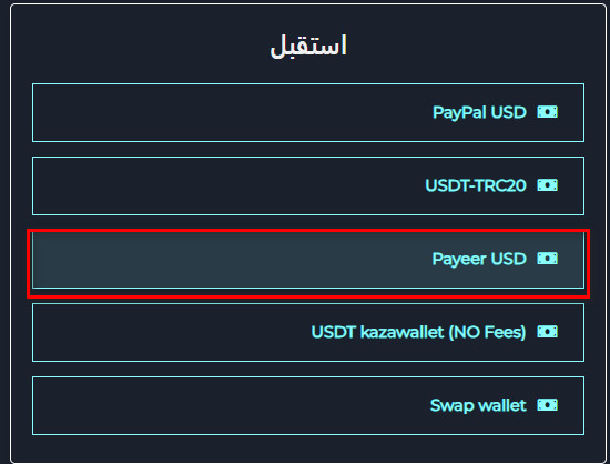 Payeer USD
