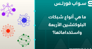 ما هي أنواع شبكات البلوكتشين الأربعة واستخداماتها؟