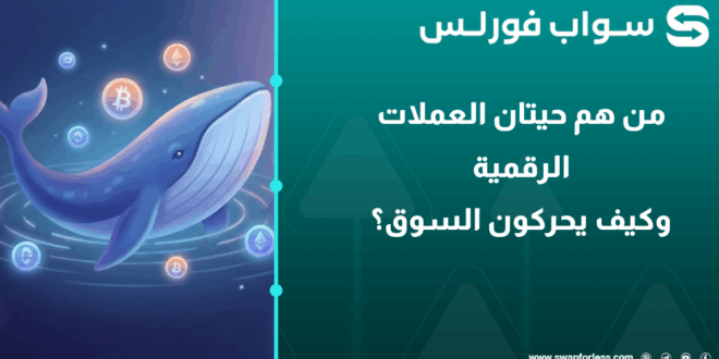 من هم حيتان العملات الرقمية؟ وكيف يحركون السوق بلمسة واحدة؟